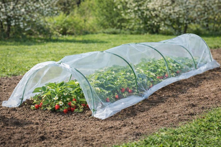 Теплиця для полуниці 1.8х10 м Garden Line EVA5917 складаний парник для городу теплиця для овочів CH-EVA5917 фото